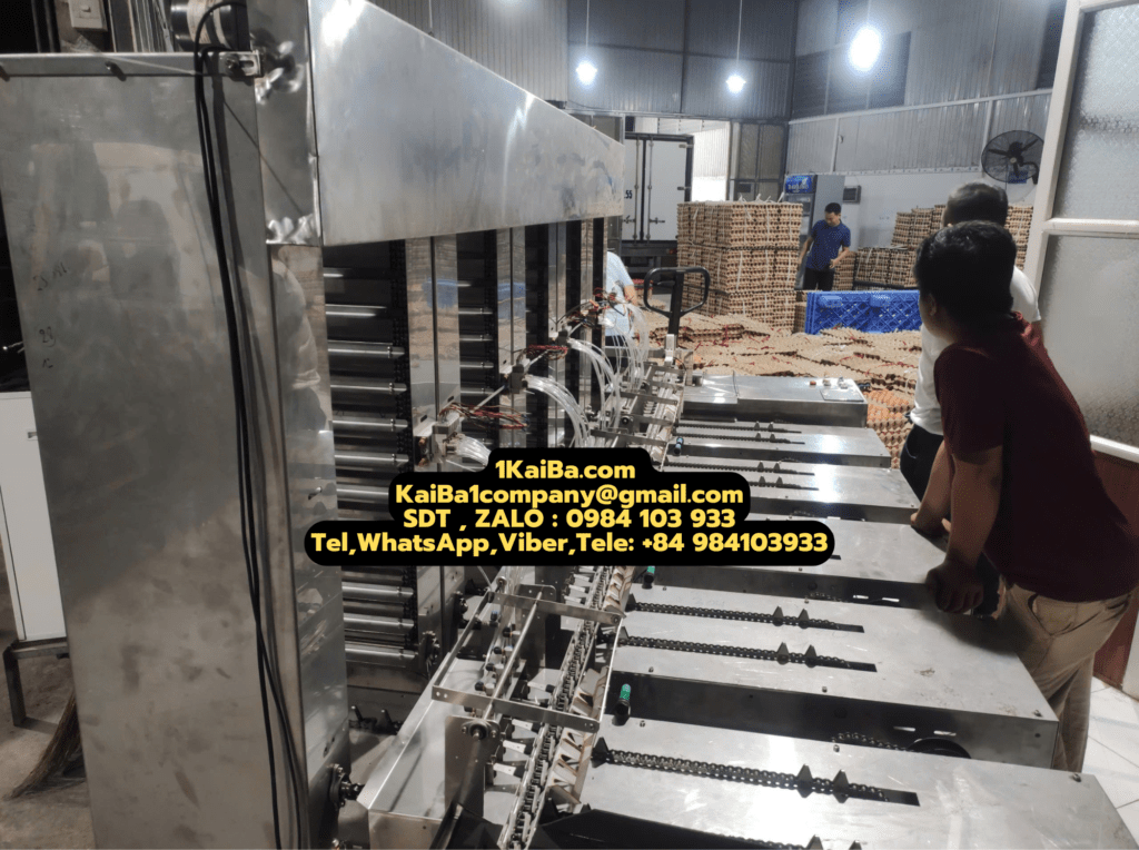 Kaiba Quail Egg Peeling Machine