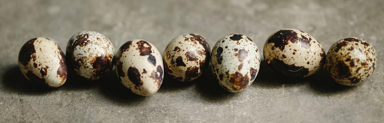 Quail Egg Peeling Machine