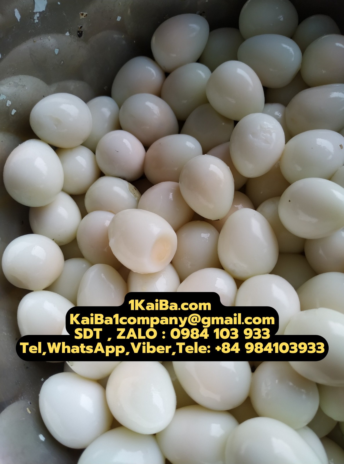 Affordable Automatic Quail Egg Peeling Machine – Enhance Your Business Efficiency