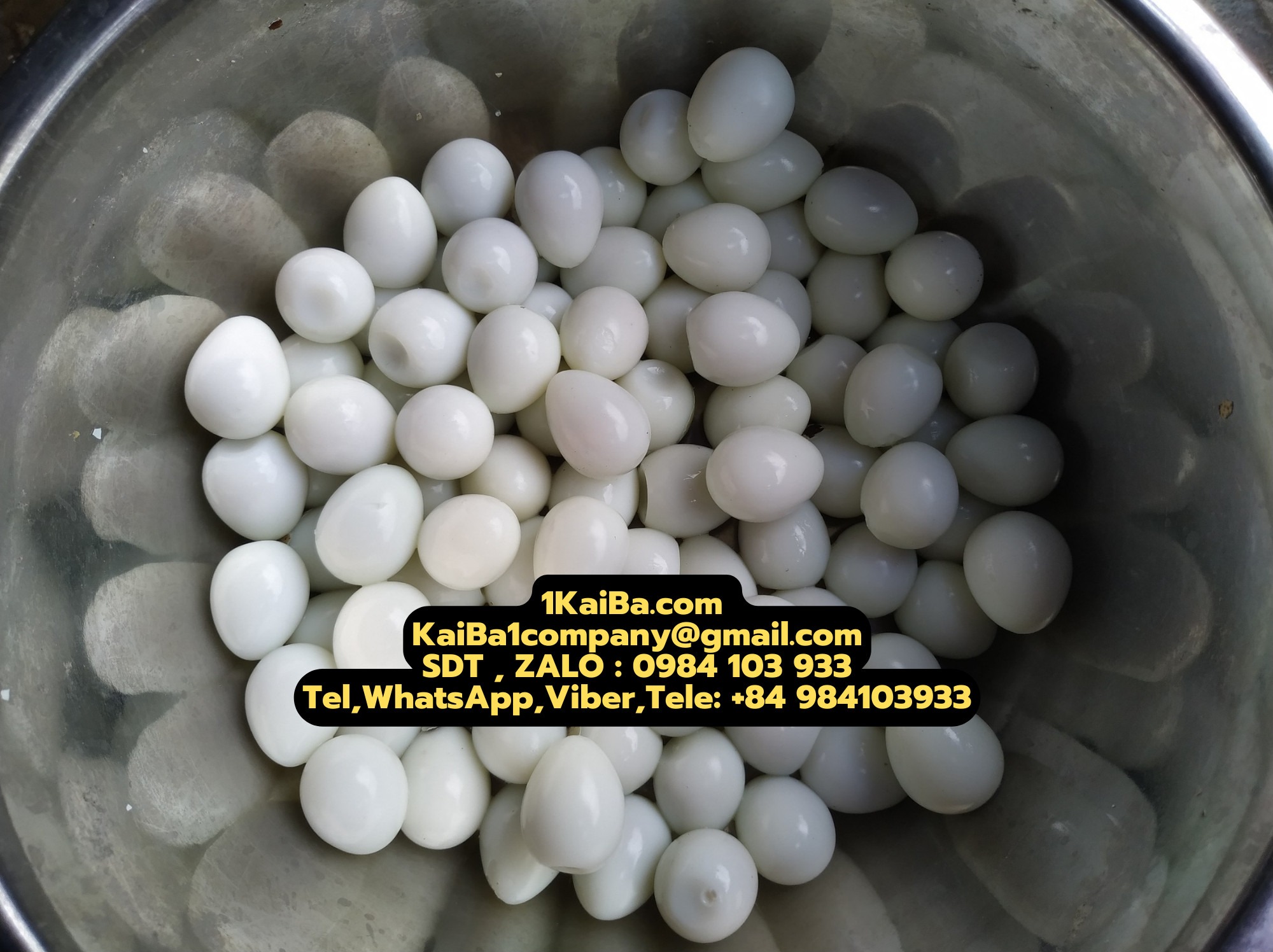 Kaiba’s Quail Egg Peeling Machine