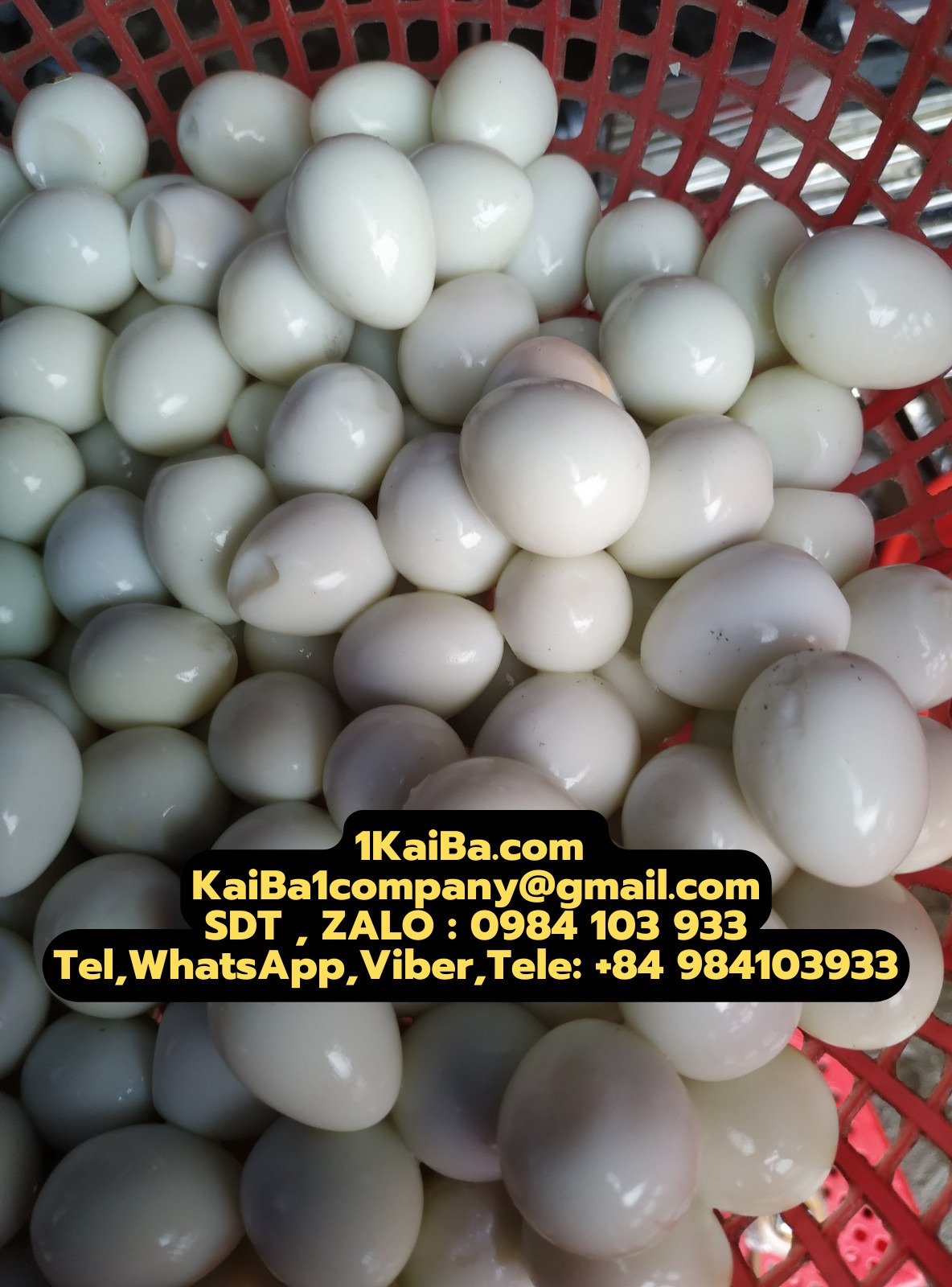 Quail Egg Peeling Machine for 2 People