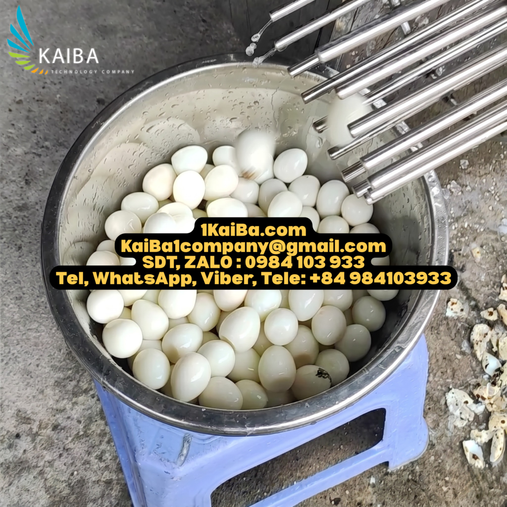 Kaiba Quail Egg Peeling Machine | Fast & Efficient