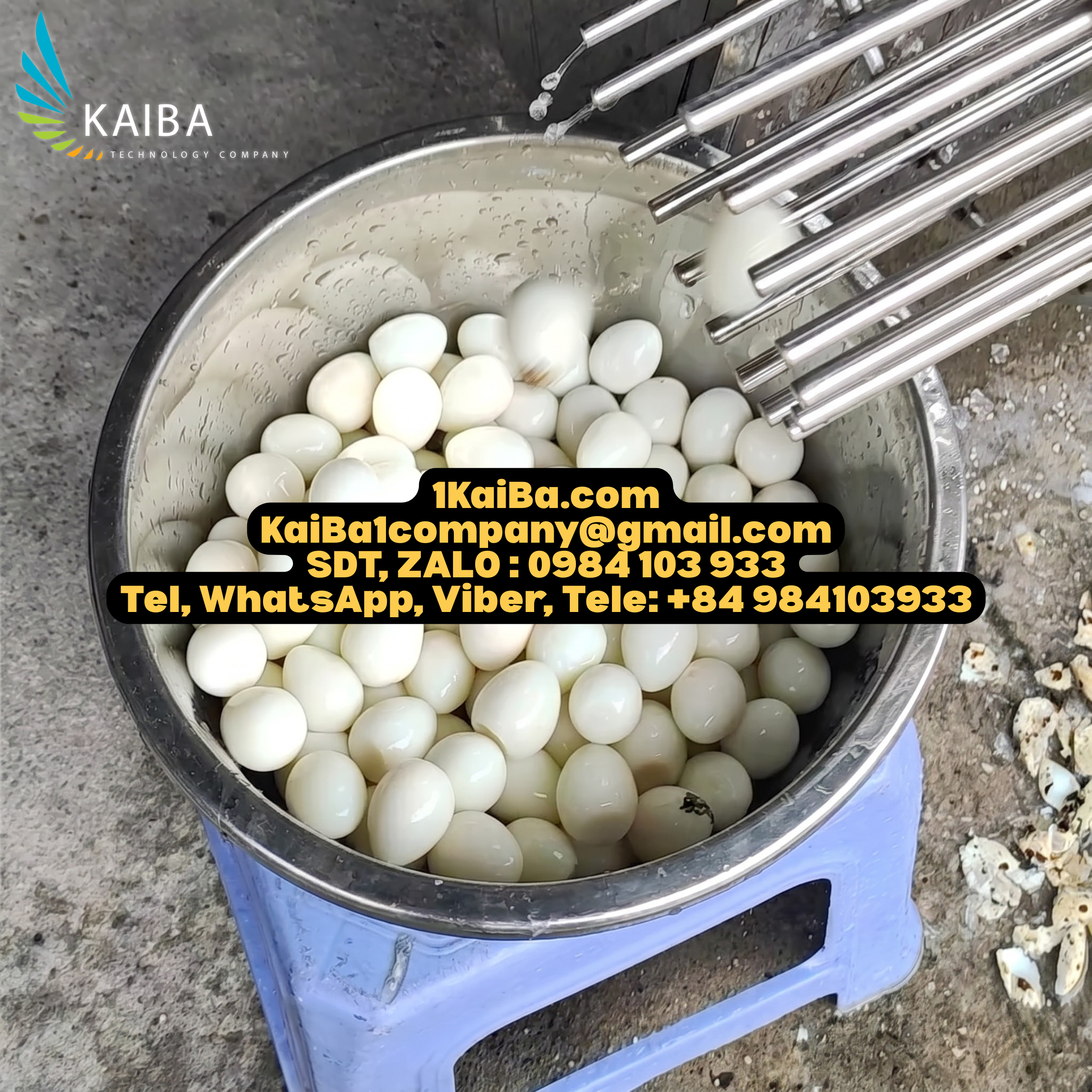 Kaiba Quail Egg Peeling Machine | Fast & Efficient